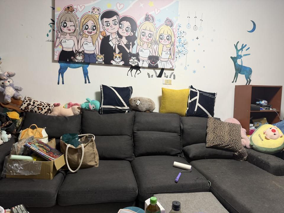 沙發清潔案件圖片