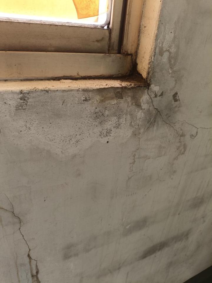 壁癌處理案件圖片