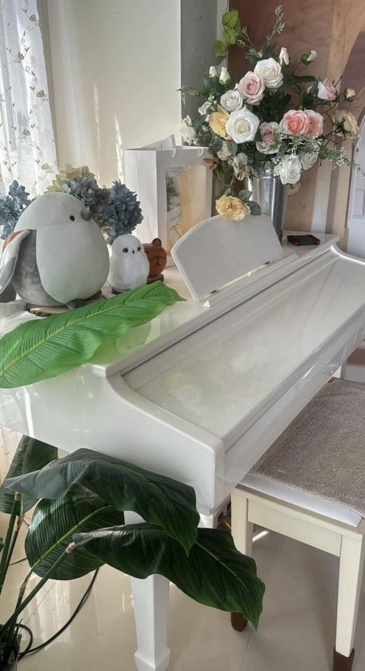 鋼琴搬運案件圖片