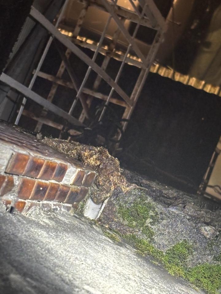 泥作/水泥施工案件圖片