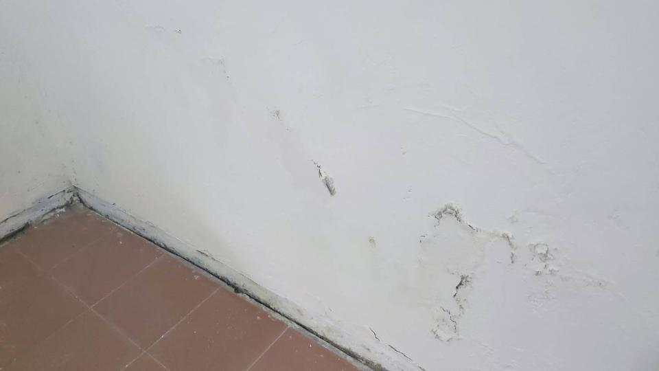 油漆工程案件圖片