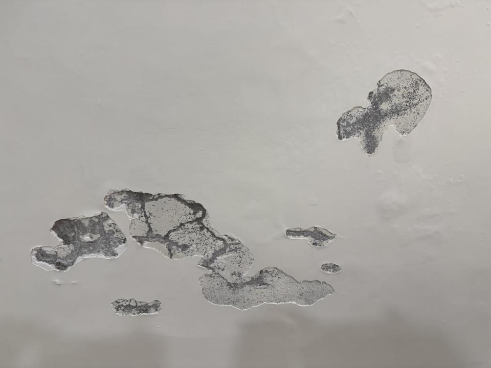 壁癌處理案件圖片