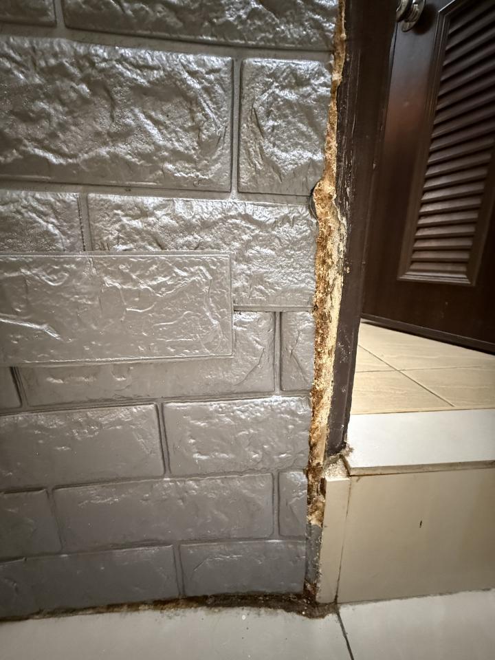 壁癌處理案件圖片