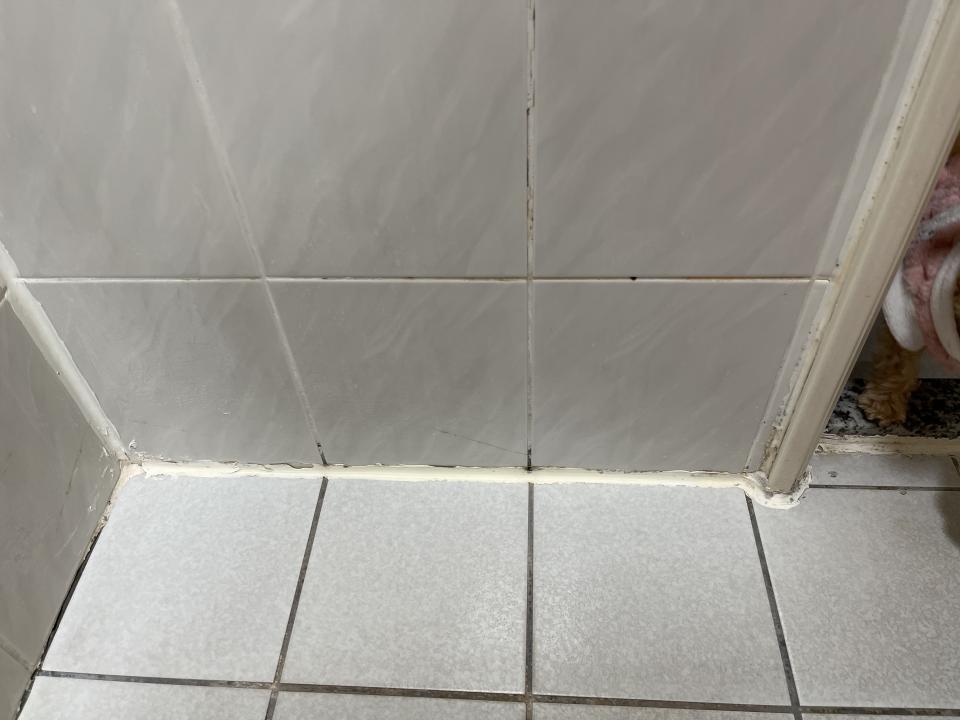 矽利康工程案件圖片