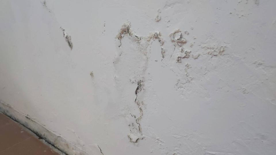 油漆工程案件圖片