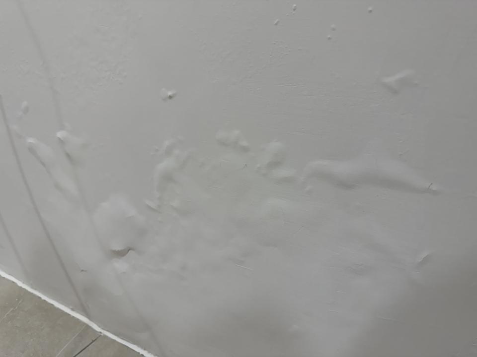 壁癌處理案件圖片