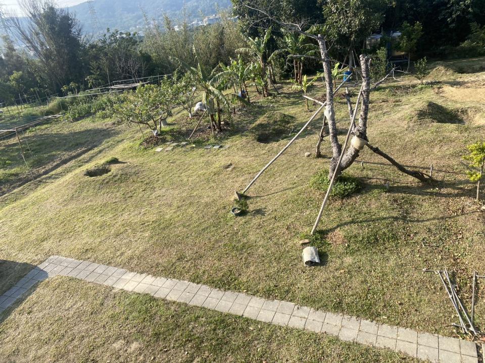 園藝設計案件圖片