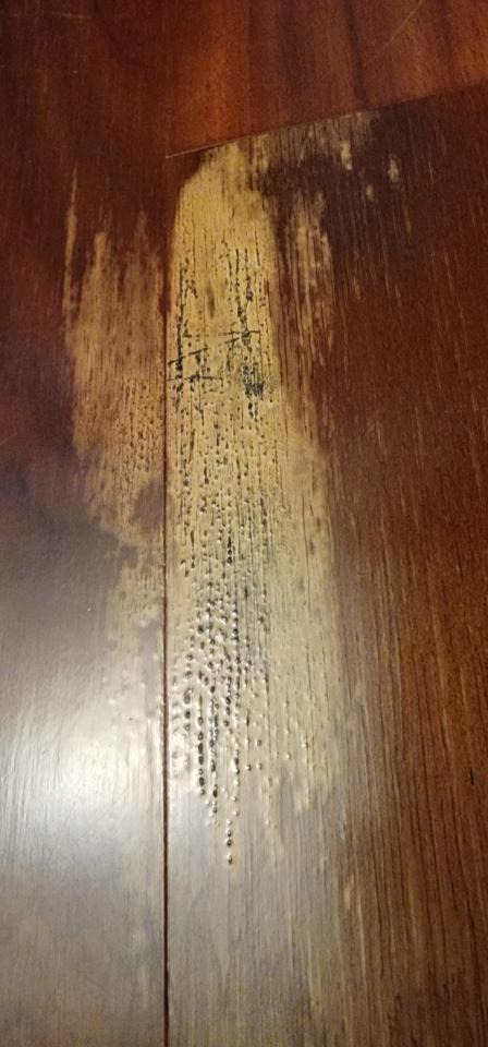 居家修繕案件圖片