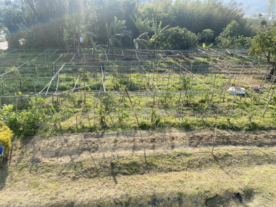 園藝設計案件圖片