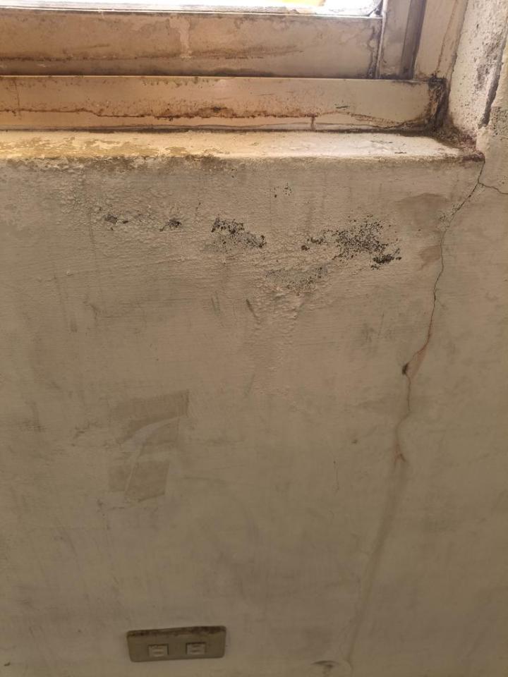 壁癌處理案件圖片