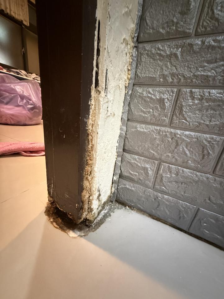 壁癌處理案件圖片