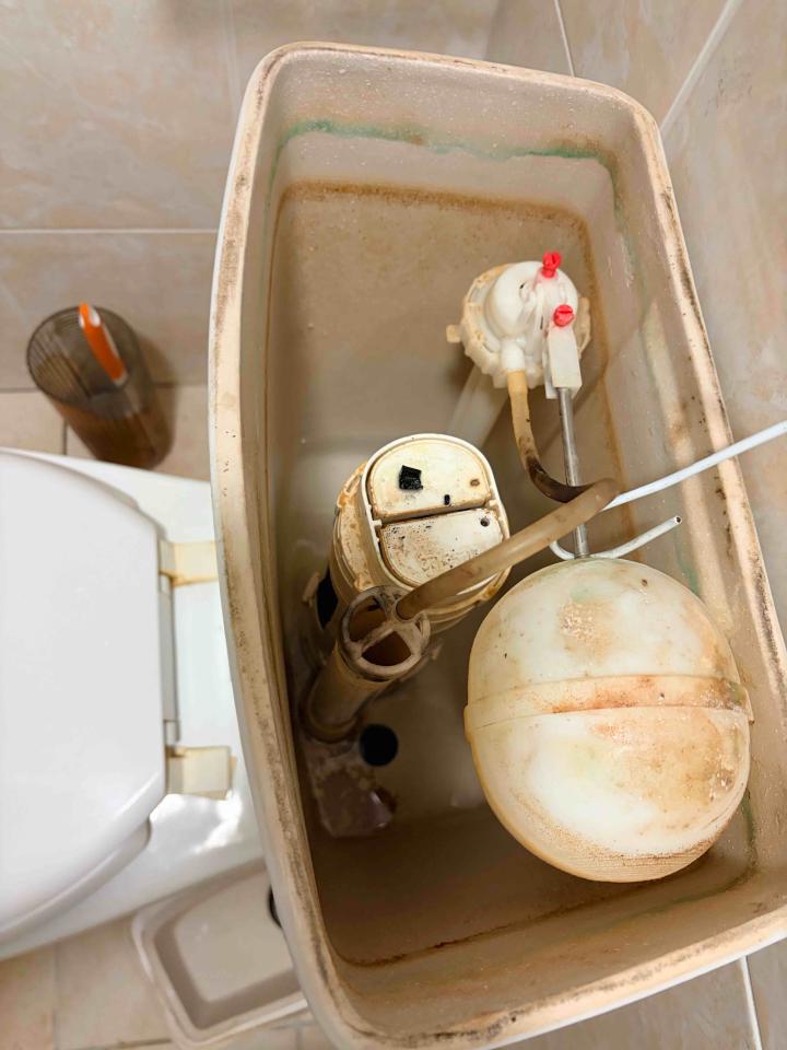 馬桶裝修案件圖片