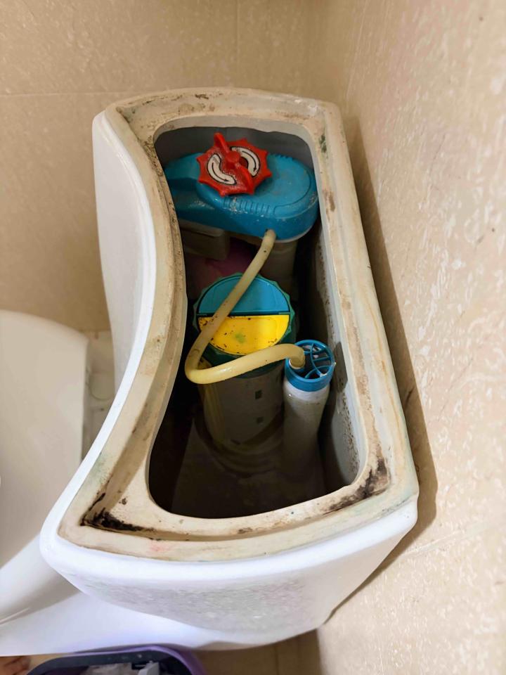 馬桶裝修案件圖片