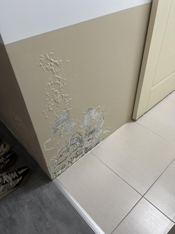 壁癌處理案件圖片