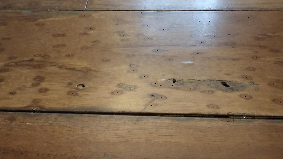 地板施工案件圖片