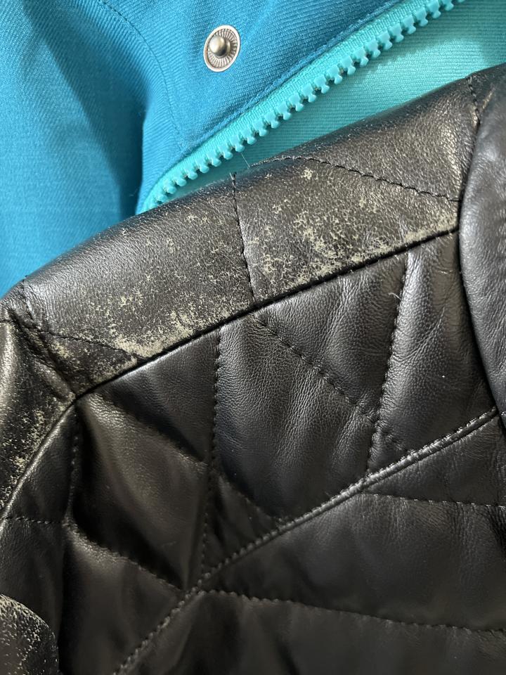 皮革保養案件圖片