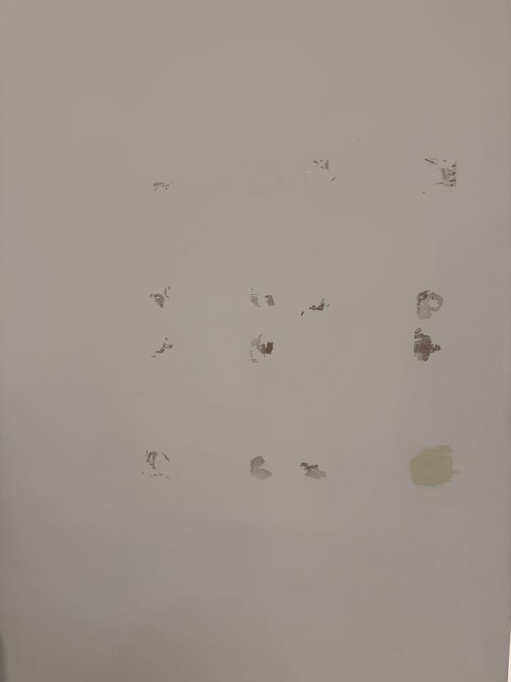 油漆工程案件圖片