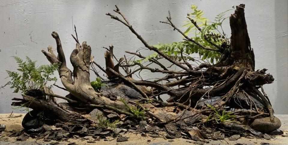 魚缸設計案件圖片