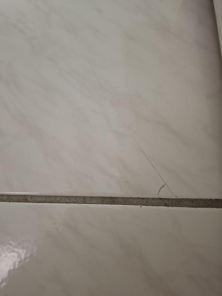 磁磚修補案件圖片