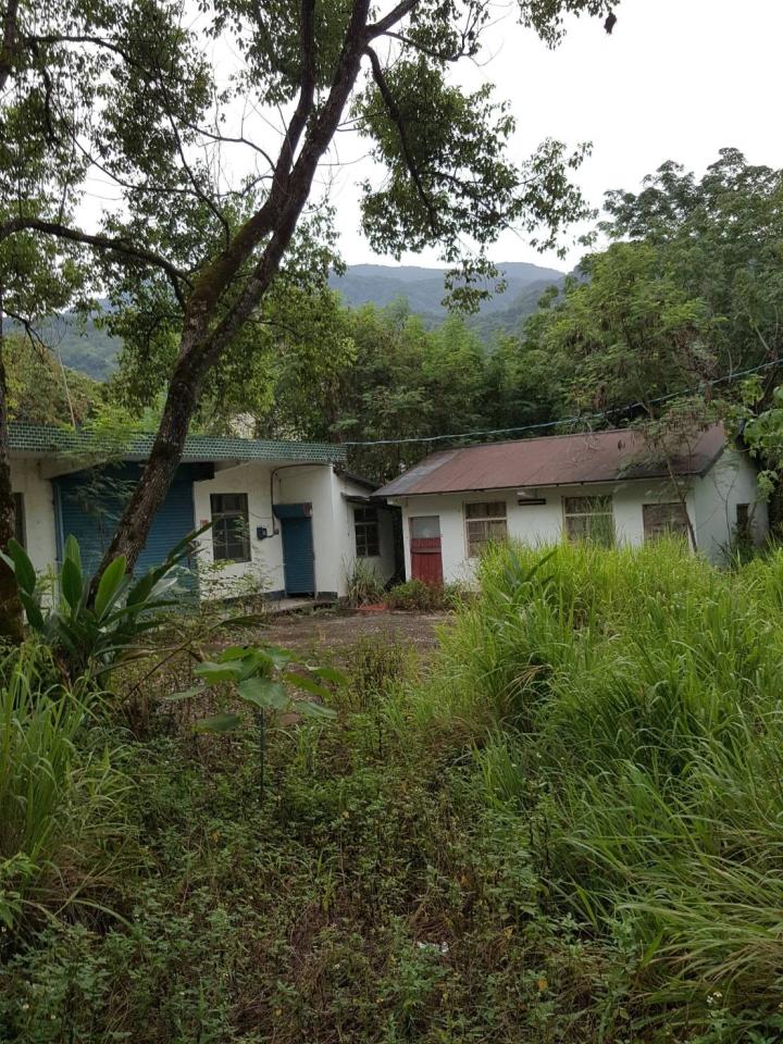 園藝維護案件圖片