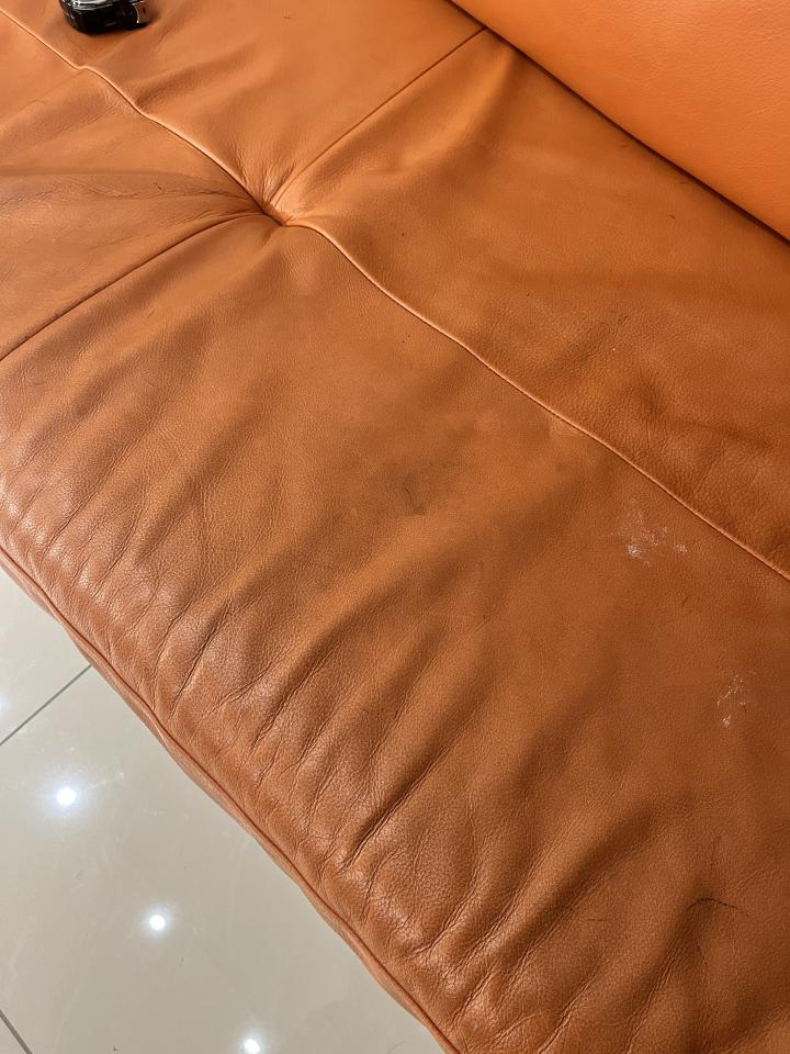 沙發清潔案件圖片