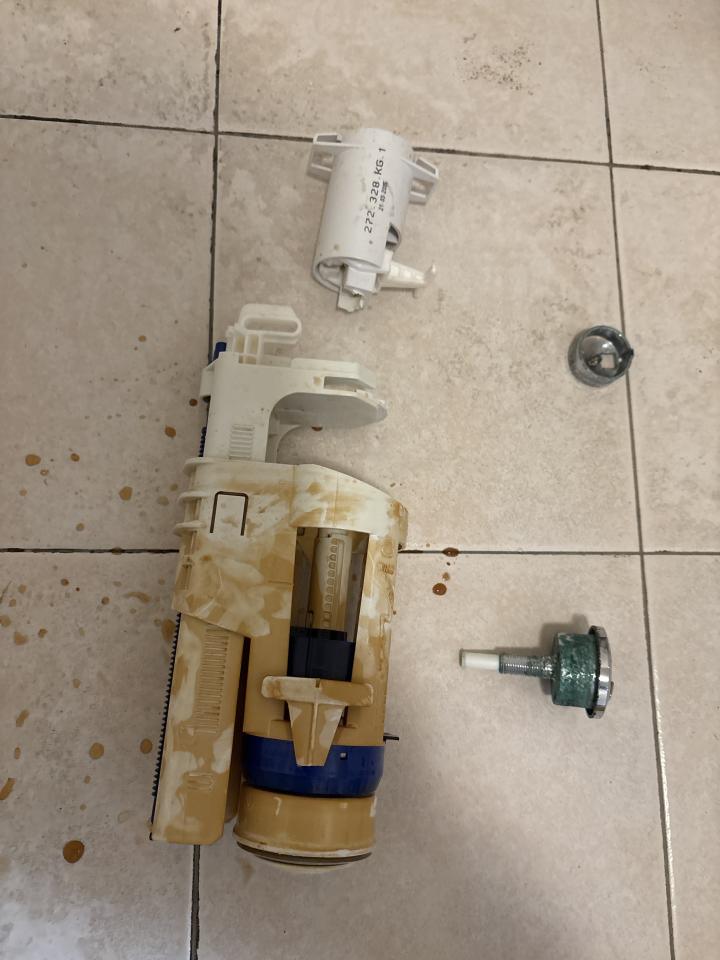 馬桶裝修案件圖片