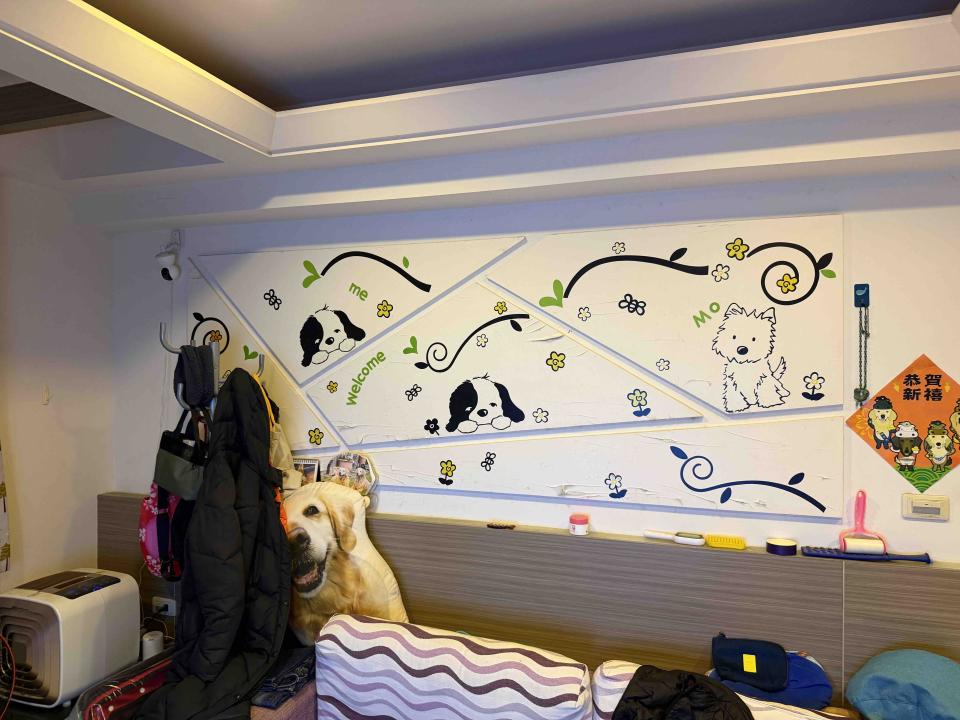 油漆工程案件圖片