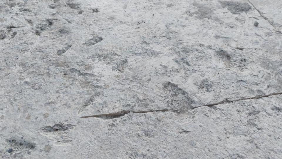 泥作/水泥施工案件圖片