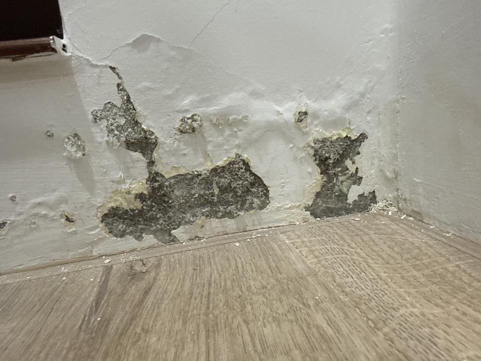 壁癌處理案件圖片