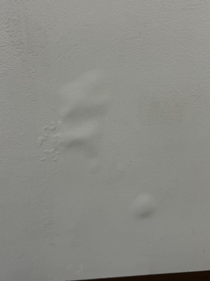 壁癌處理案件圖片