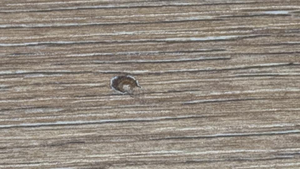 地板維修案件圖片