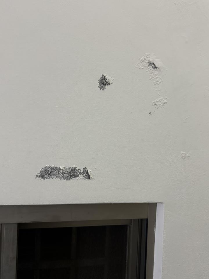 壁癌處理案件圖片