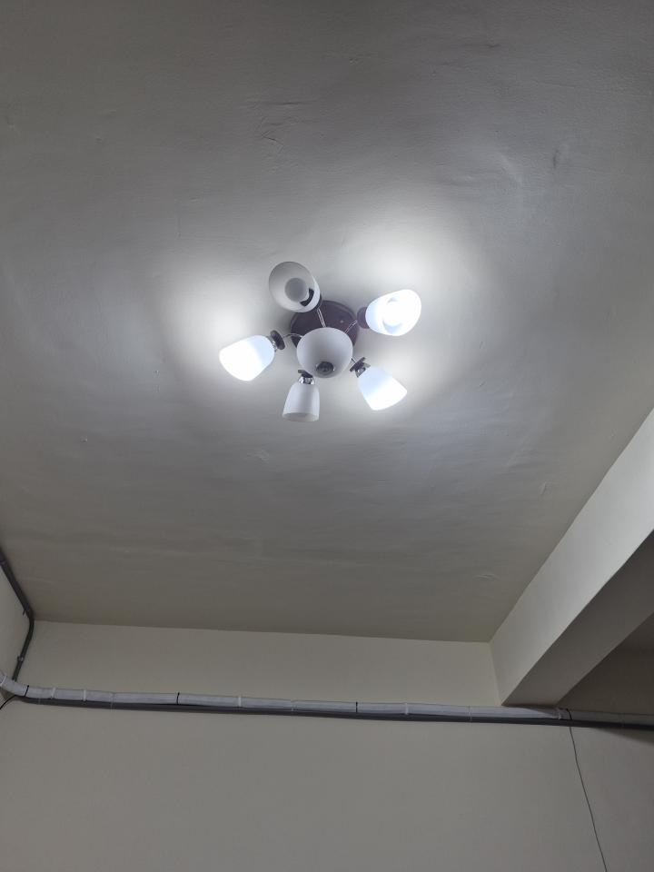 燈具安裝案件圖片