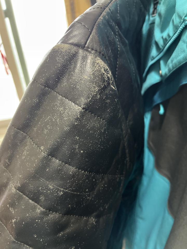 皮革保養案件圖片