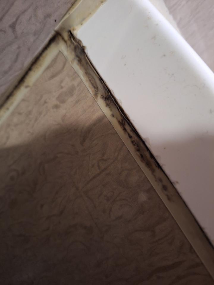 矽利康工程案件圖片