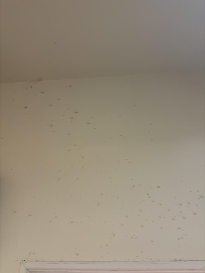 油漆工程案件圖片