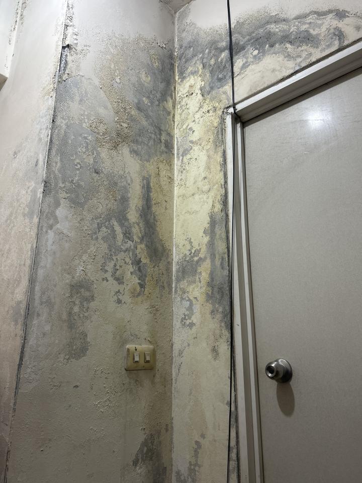 油漆工程案件圖片