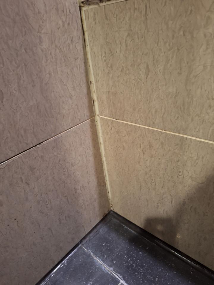 矽利康工程案件圖片