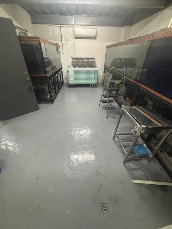 PU地板案件圖片