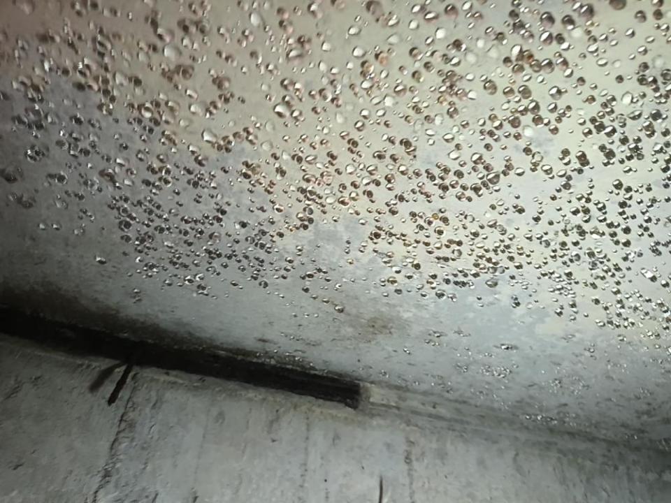 漏水處理案件圖片