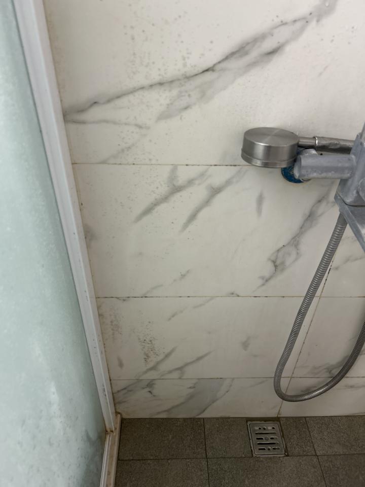 浴室除霉清潔案件圖片