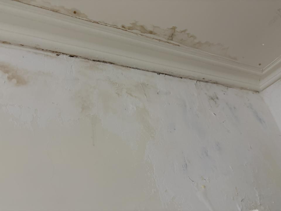 漏水處理案件圖片