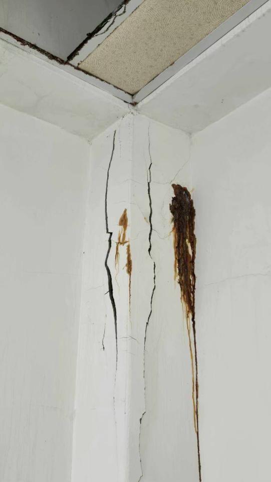 泥作/水泥施工案件圖片