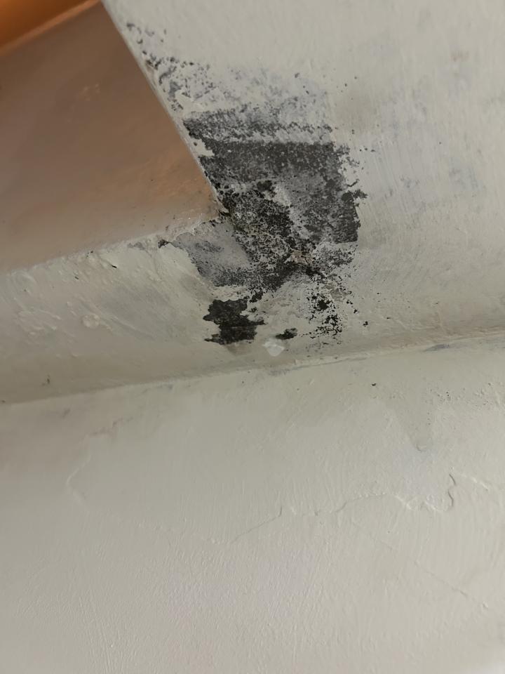 漏水處理案件圖片