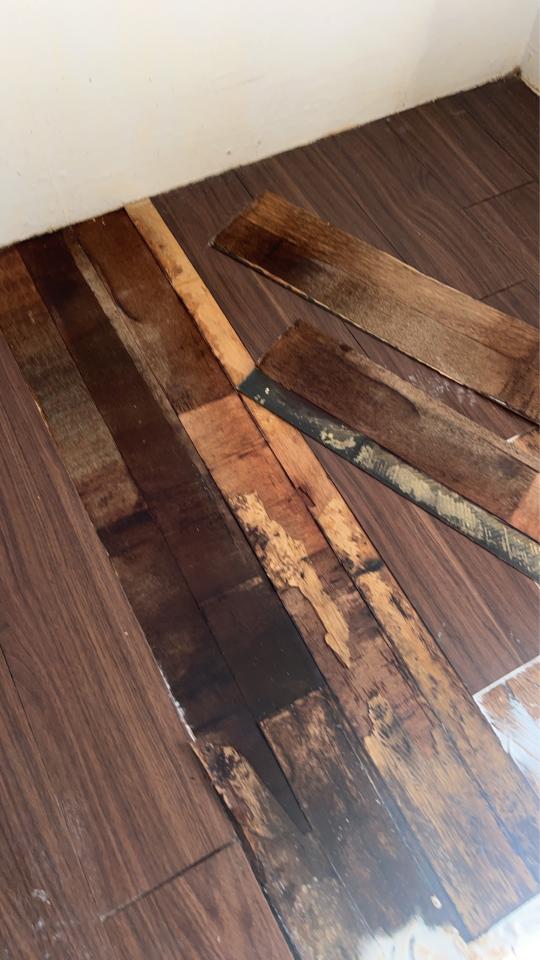 地板施工案件圖片