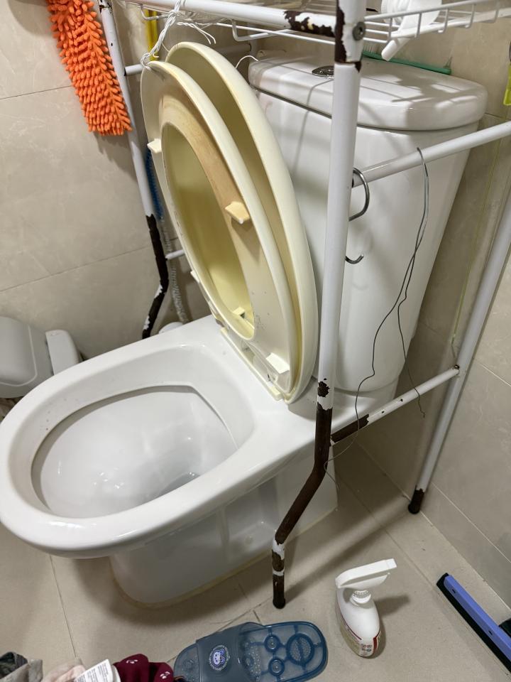 馬桶裝修案件圖片