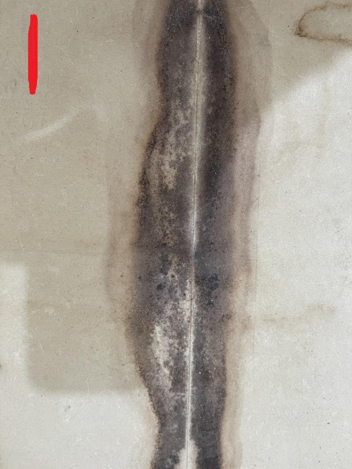 磁磚清潔案件圖片