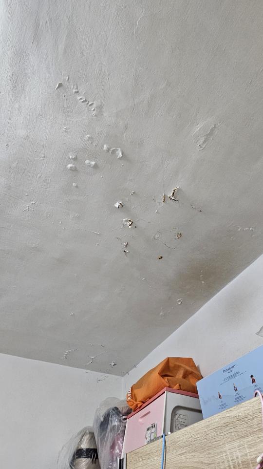 油漆工程案件圖片