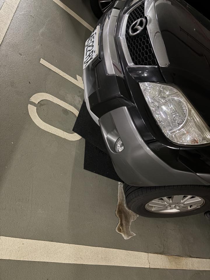 環氧樹脂地板案件圖片