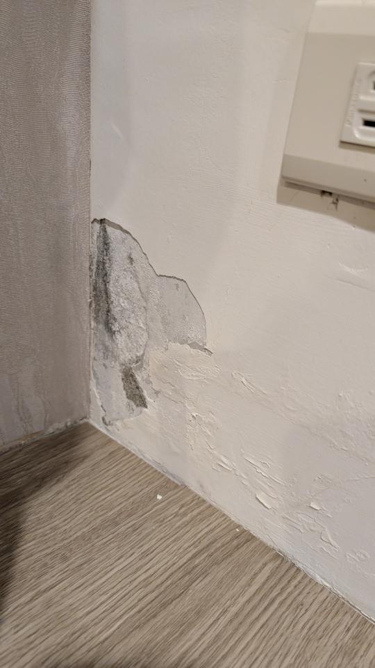 油漆工程案件圖片